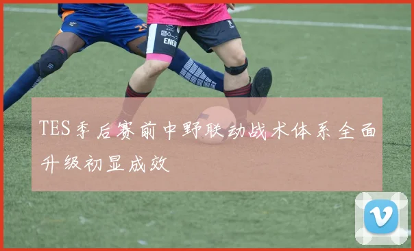 TES季后赛前中野联动战术体系全面升级初显成效
