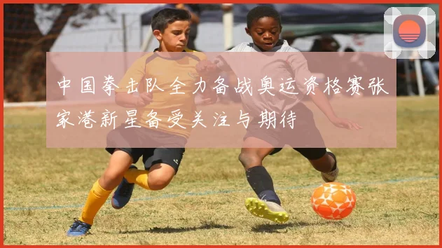 中国拳击队全力备战奥运资格赛张家港新星备受关注与期待